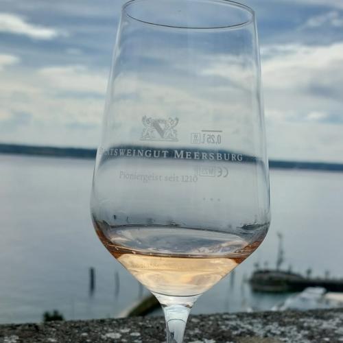Wein in Meersburg