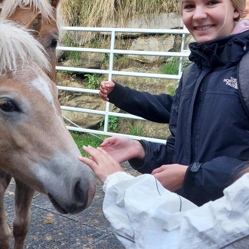 Hotel Post Landwirtschaft Besichtigung