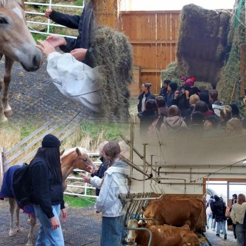 Landwirtschaft Hotel Post