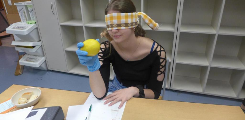 Ertasten von Lebensmitteln