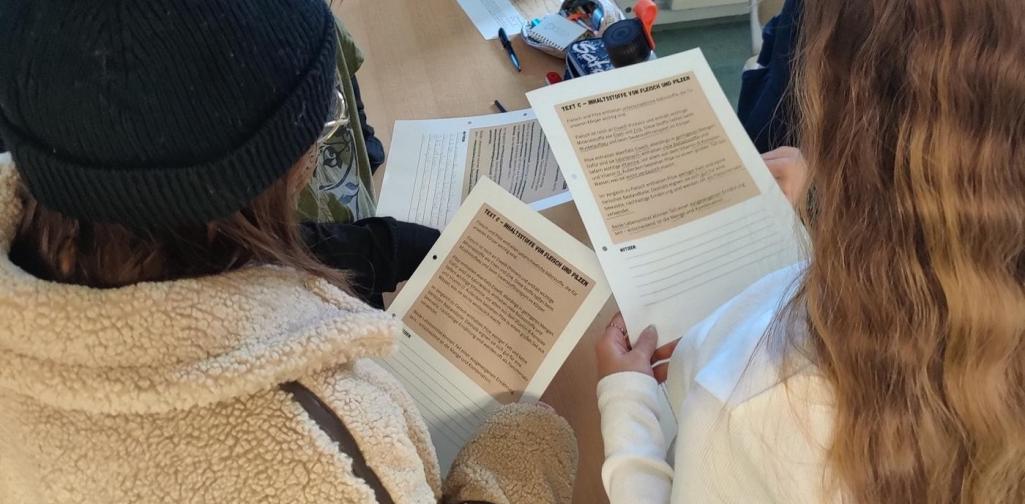 2026_Projekt Pilze_2