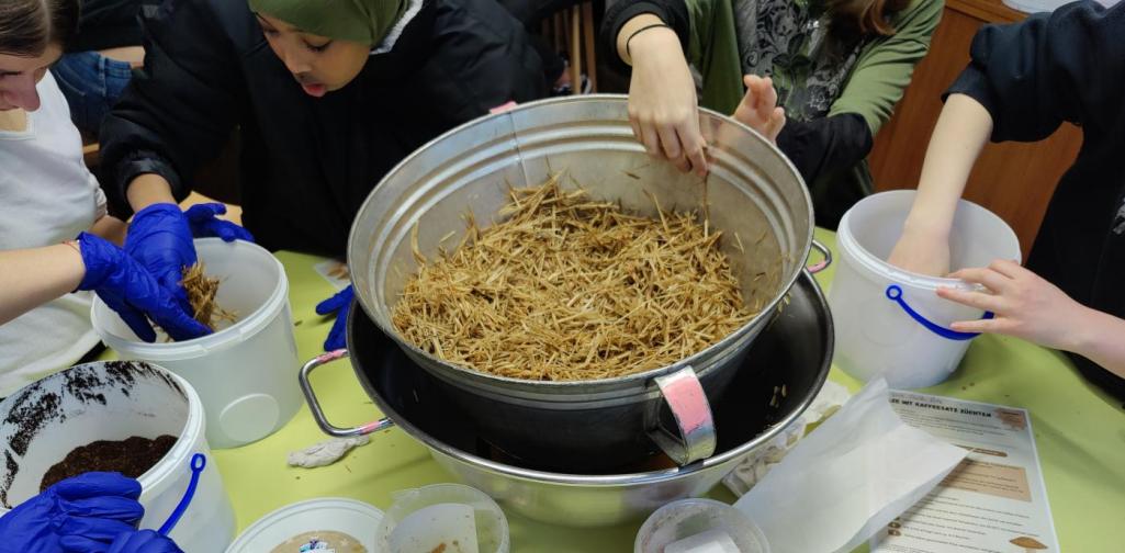 2026_Projekt Pilze_4